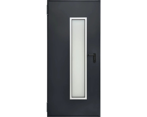 Hörmann multifunctionele kelderdeur met glaspaneel, RAL 7016 antracietgrijs, 1000x2000 mm, omkeerbaar (links/rechts), incl. matglas