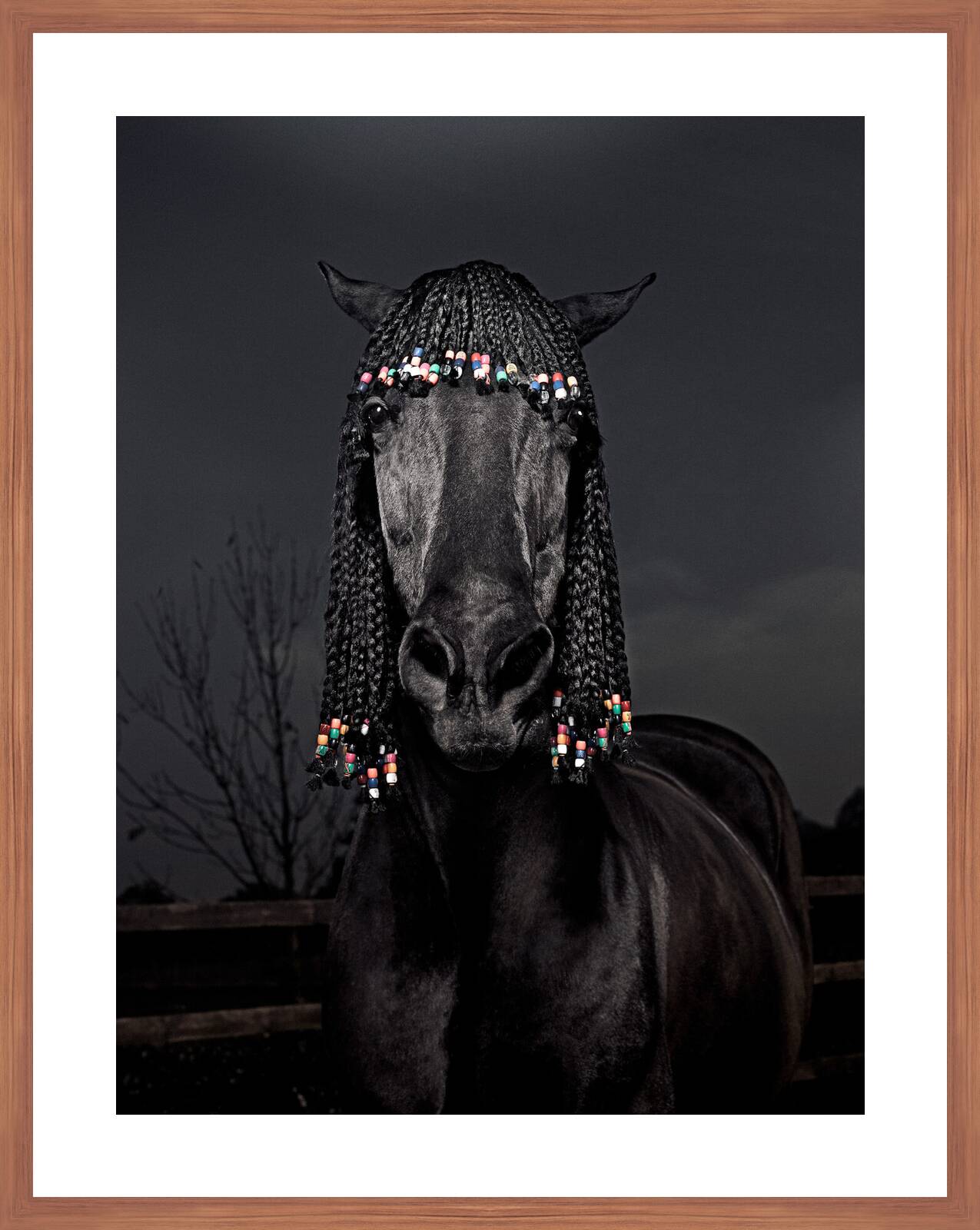 Harmony by Julian Wolkenstein - Limited Edition. Edition of: 150. Signed.