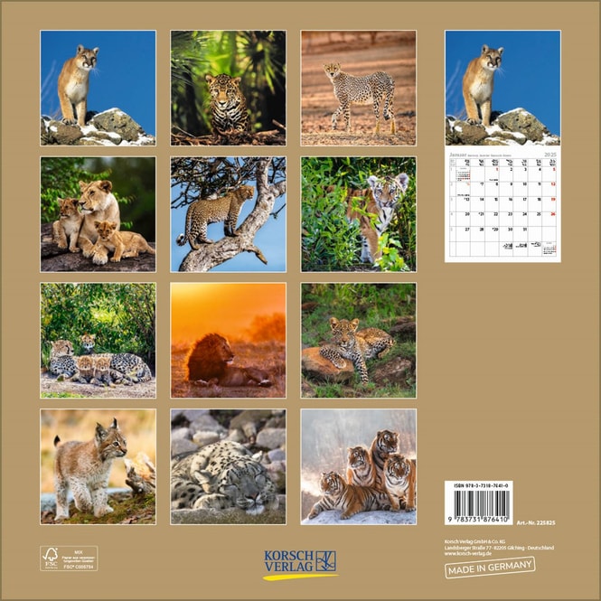 Wandkalender - 2025 - Big Cats