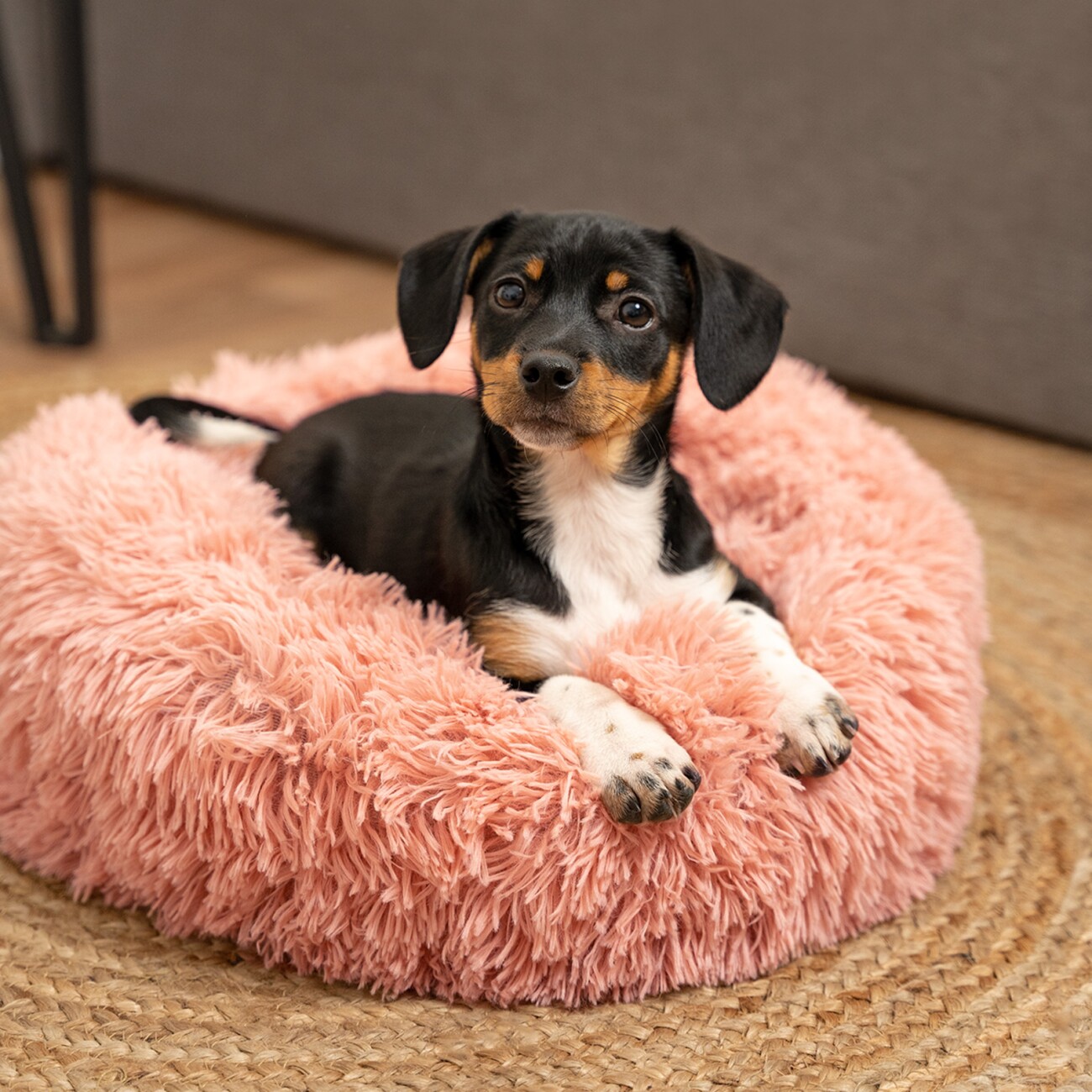 Lionto Donutbett rosa S