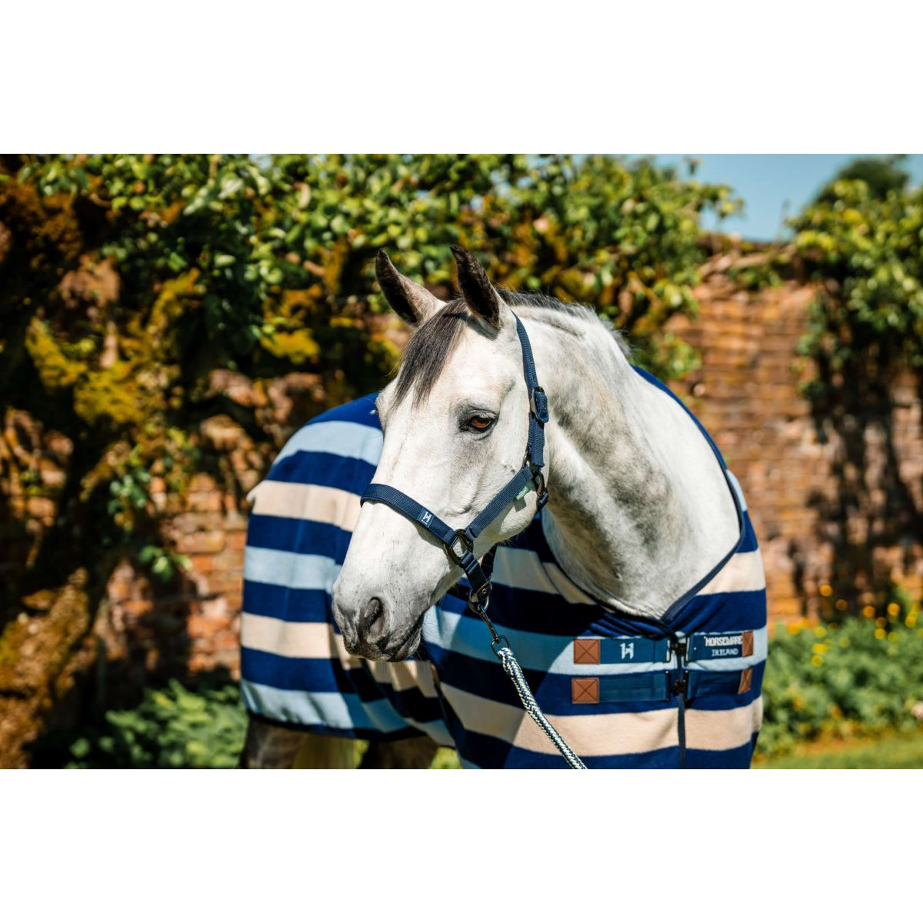 Amigo Halster & Touw Newmarket Witney Navy
