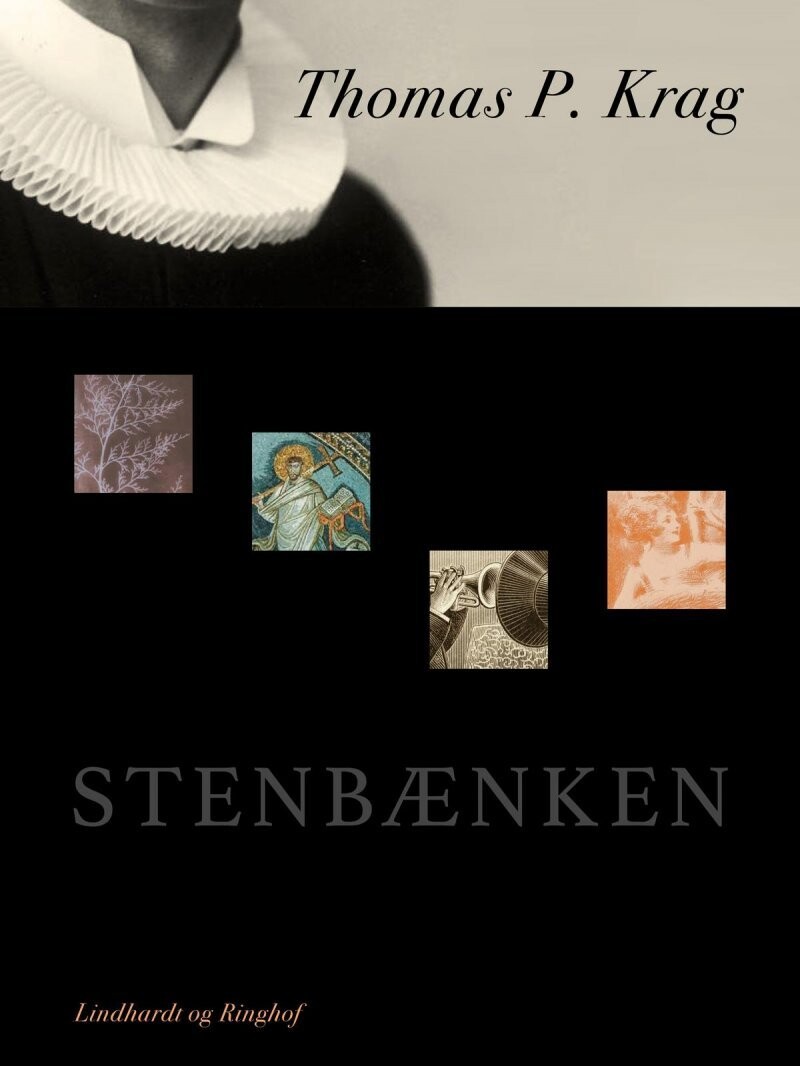 Stenbænken - Thomas P. Krag - Bog
