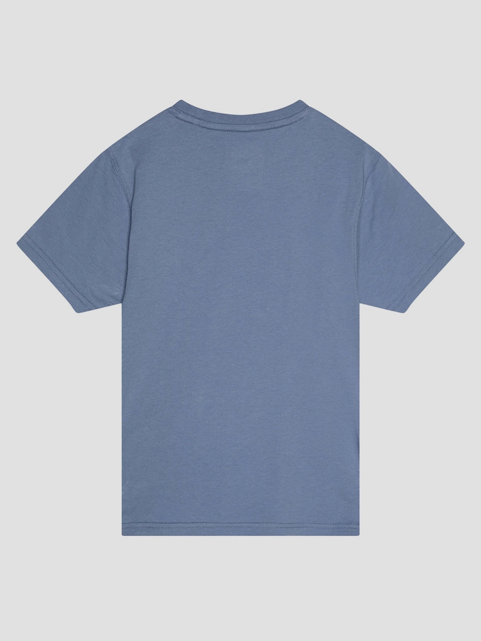Dickies Aitkin Kids T-Shirt country blue