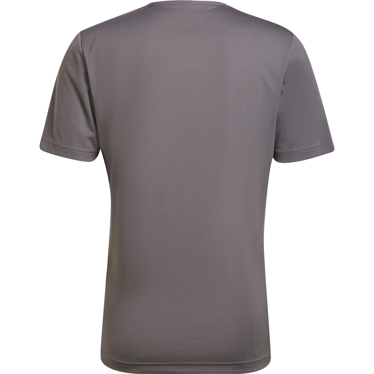 adidas Entrada 22 Trænings T-shirt