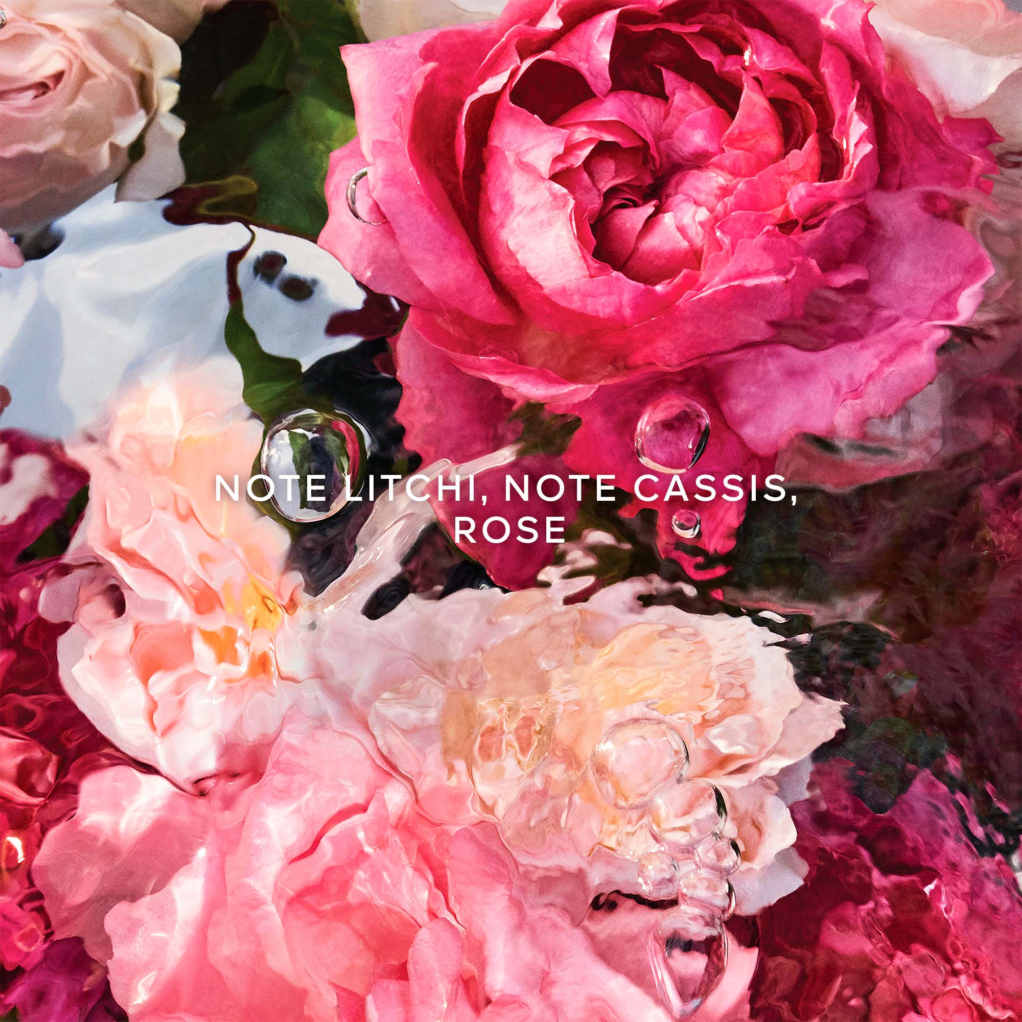 Aqua Allegoria Rosa Rossa - Eau de Toilette |