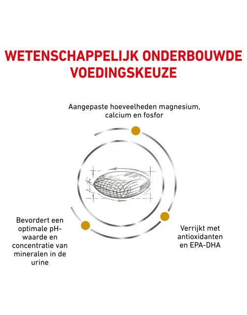 Royal Canin Veterinary Diet Urinary S\/O - Hondenvoer