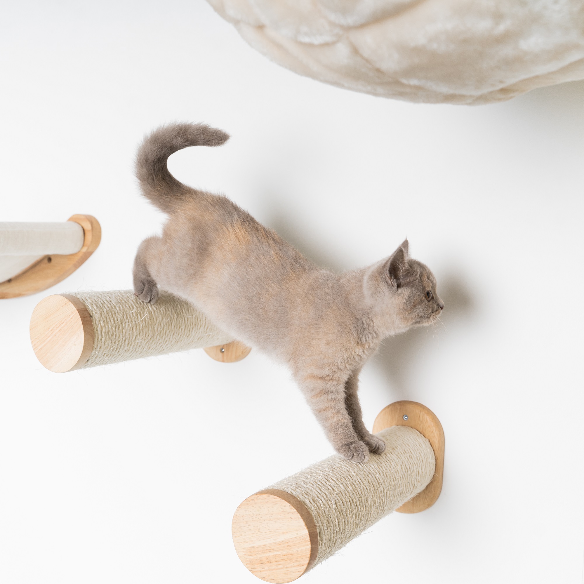 Parede de escalada para gatos - Conjunto de postes de sisal