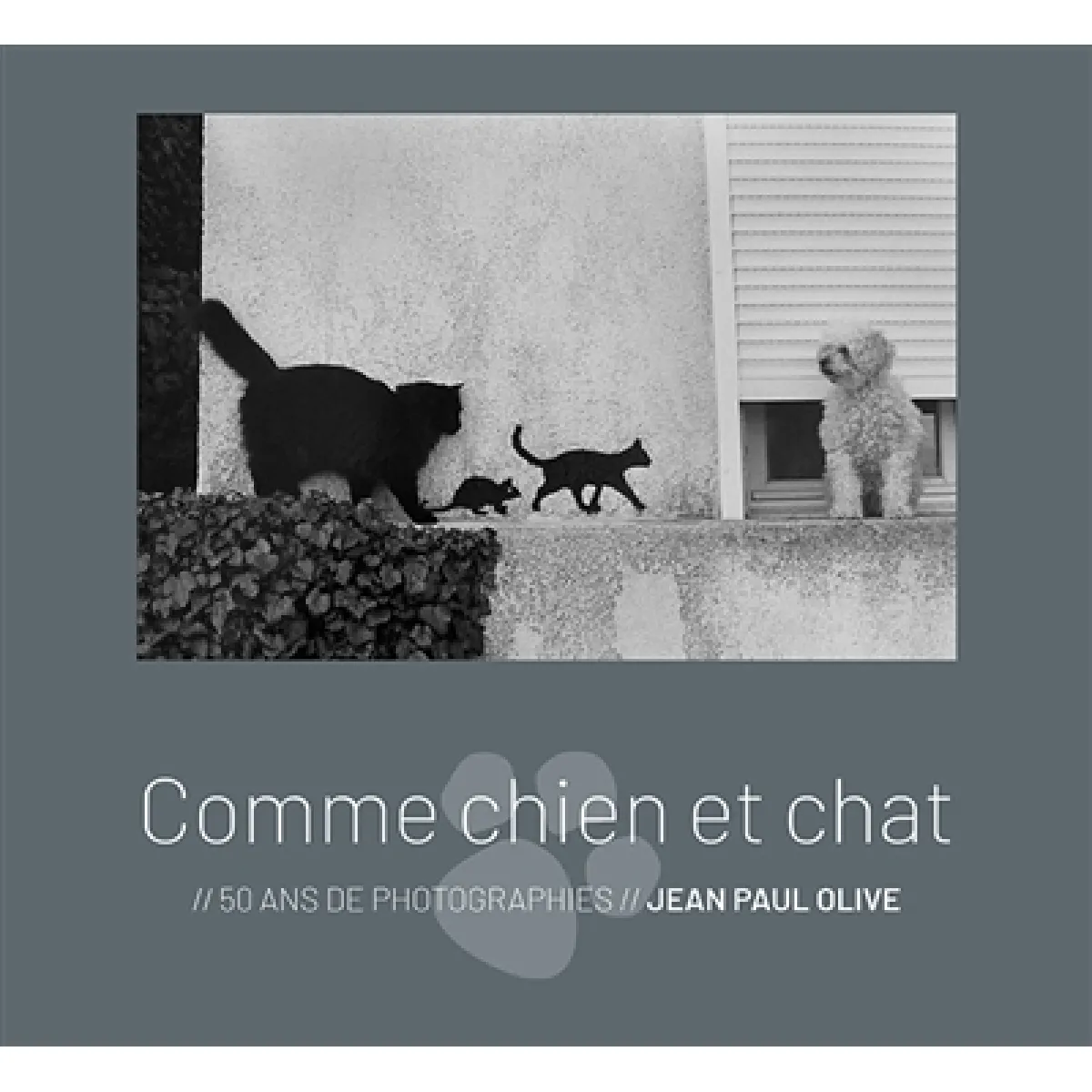 Comme chien et chat : 50 ans de photographies · Occasion
