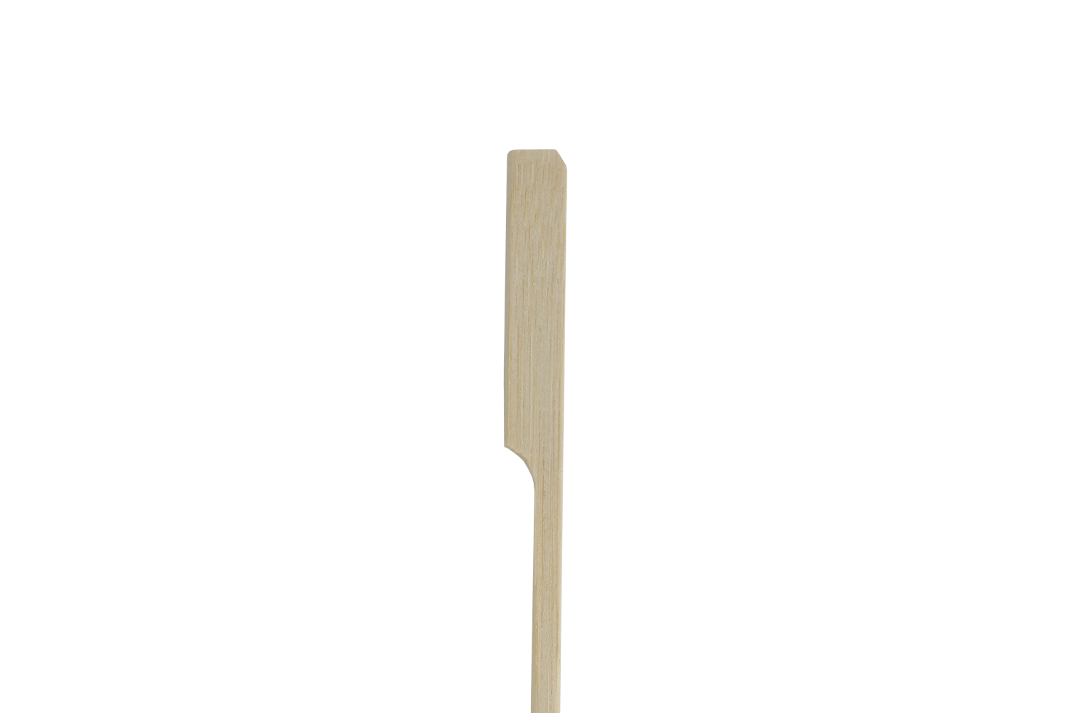 BIO Bamboe pin prikker 30cm