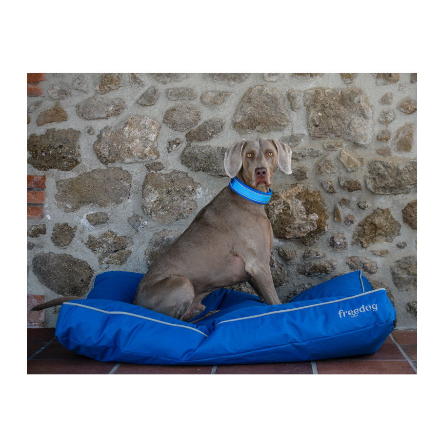 Coleira refrescante Freedog Cool Pro Tech Azul para cães