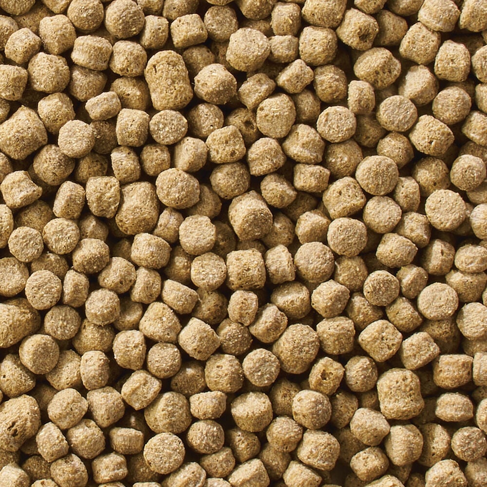 Welkoop Drijvende voeding - Watervogelvoer - 12 Kilogram