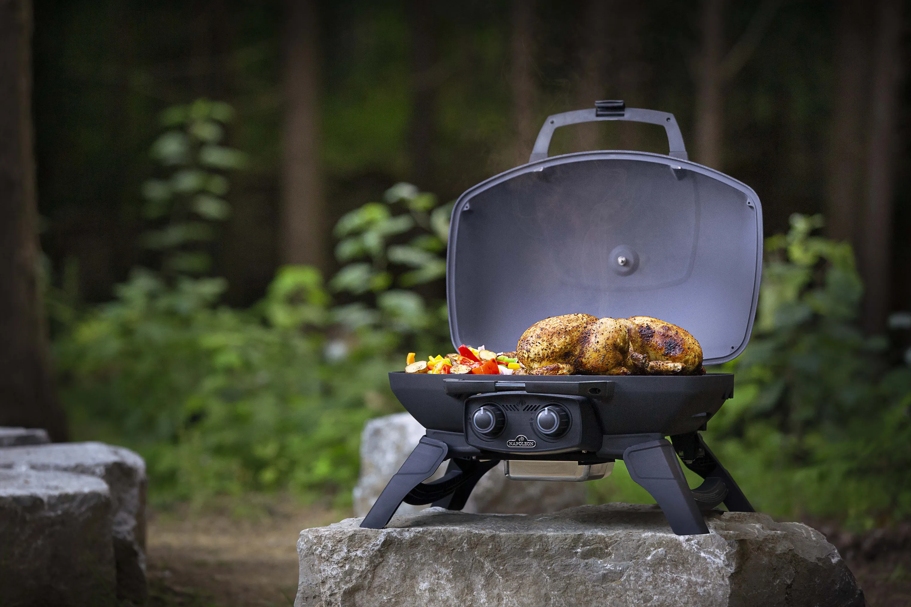 Napoleon TravelQ 285 Gasgrill