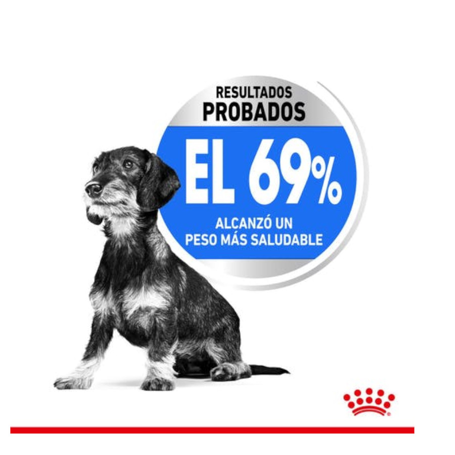 Ração Royal Canin Light Weight Care para cães de porte extra pequeno.