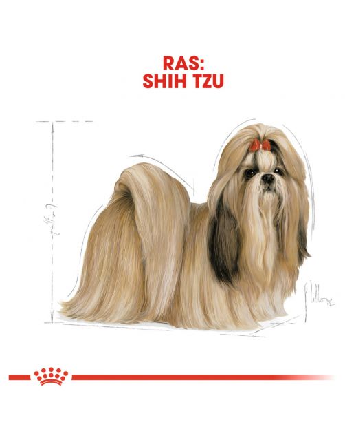 Royal Canin Shih Tzu Adult - Hondenvoer