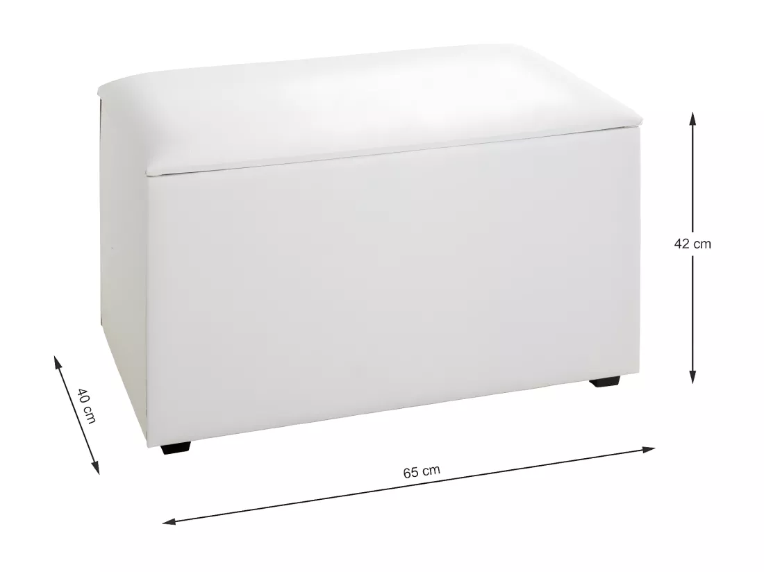 Coffre de Rangement Design 