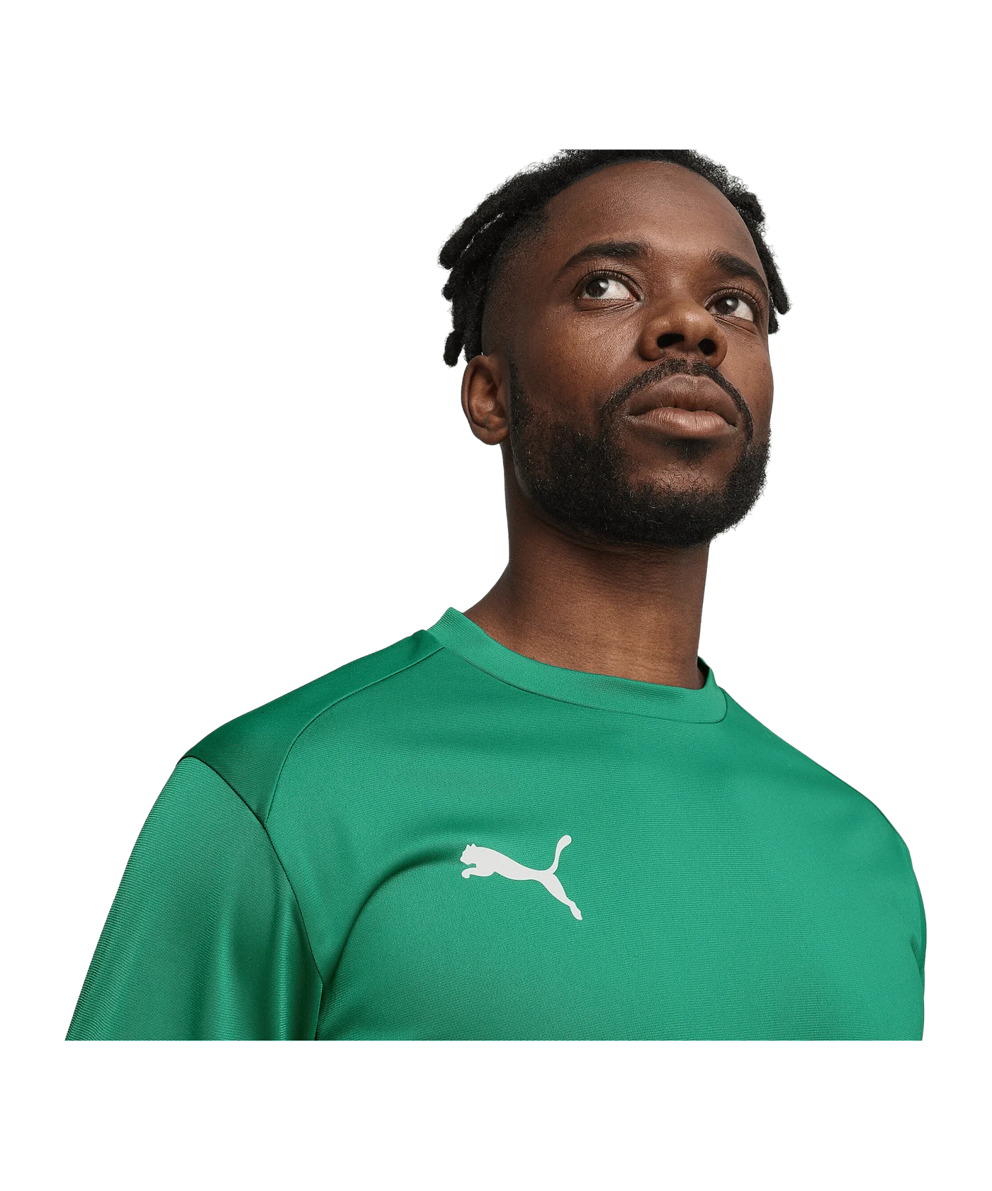 PUMA teamGOAL Training Sweatshirt Grün F05