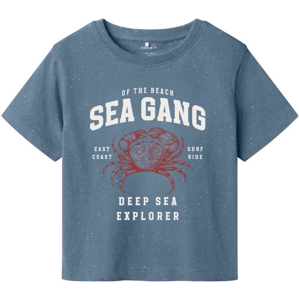 Køb Name It Spring Lake Fabi Regular T-Shirt