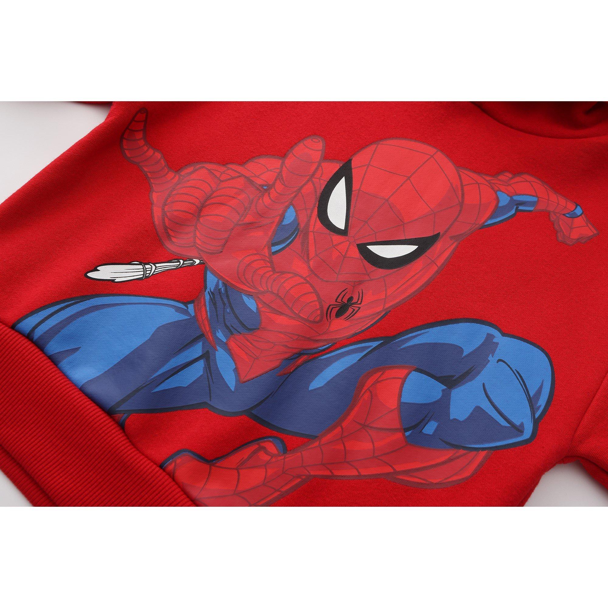 Character Fleece Lined Hoodie for Boys