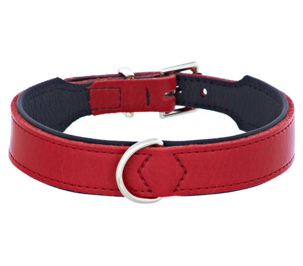 HUNTER® Hundehalsband Basic, rot/schwarz
