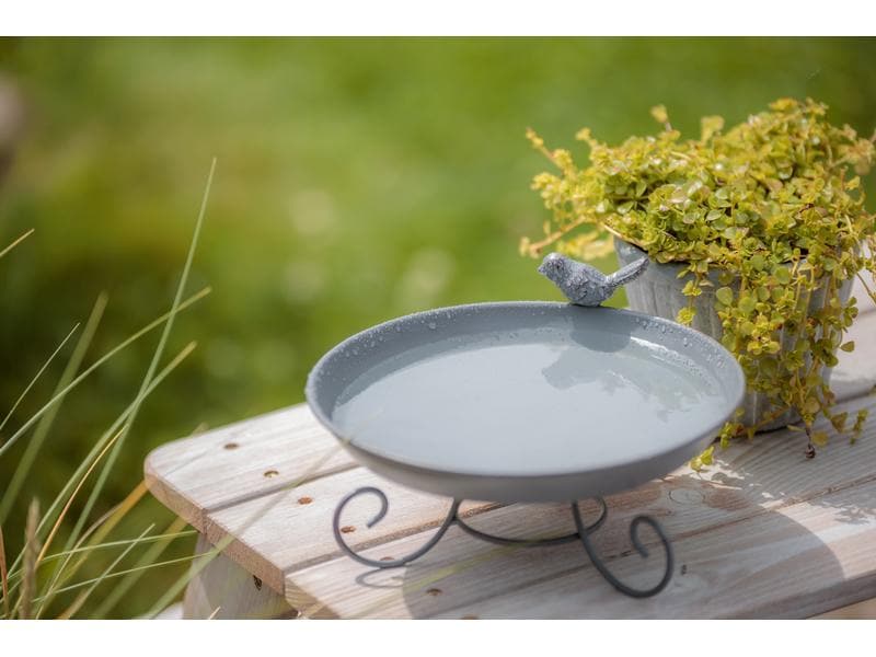 Trixie Vogeltränke zum Hinstellen, 800 ml, ø 22 cm, Grau Wasserspender