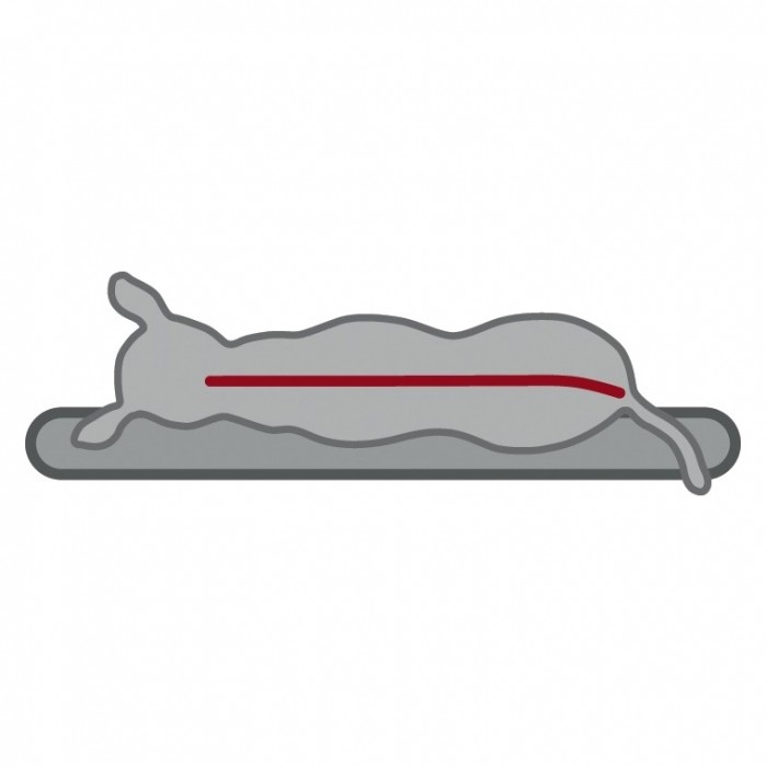 Matelas Best of all Breeds