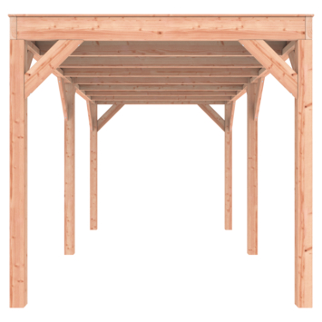 Overkapping Douglas 495x255cm symmetrisch