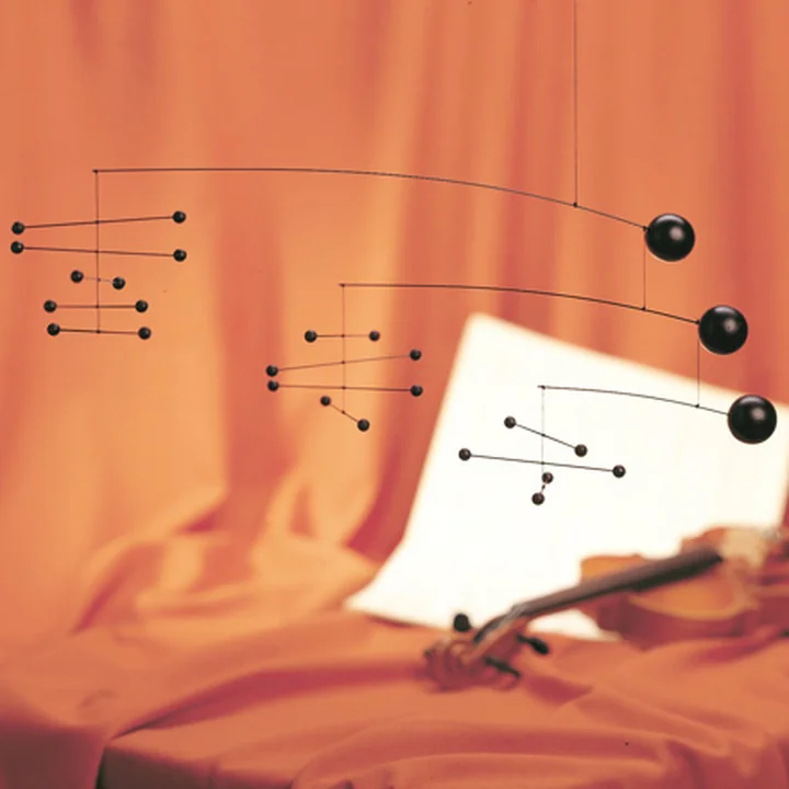 Flensted Mobiles - Symphony in 3 Movements Mobile, schwarz