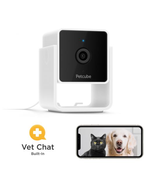 Petcube Pet Camera 1080p Hd Video Night Vision - IP Camera's - Wit