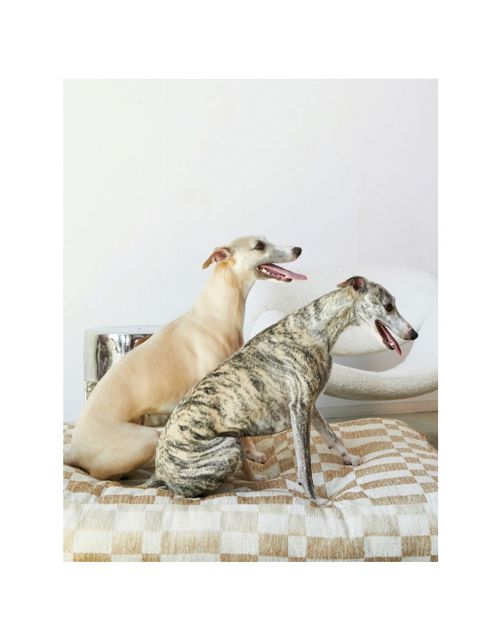 Dogguo Block Bed Beige - Hondenmatras