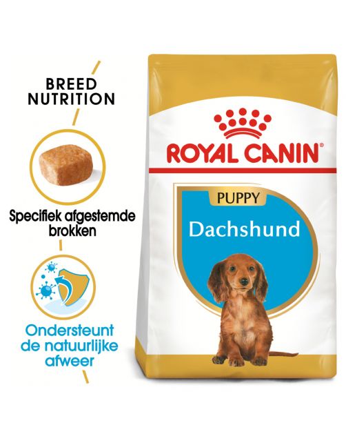 Royal Canin Dachshund - Puppy-Hondenvoer - 1.5 kg