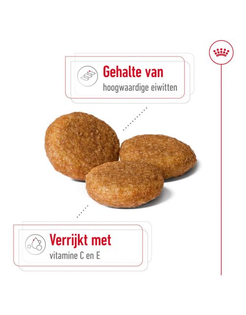 Royal Canin Medium Adult - Hondenvoer