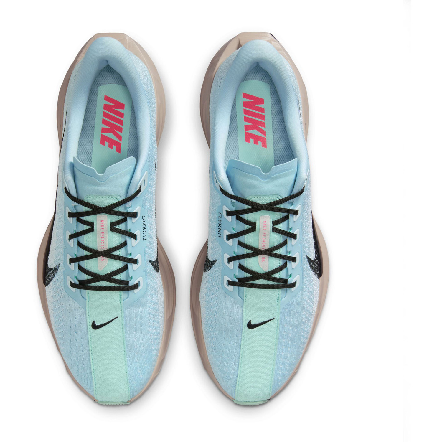 Nike Pegasus Plus Heren