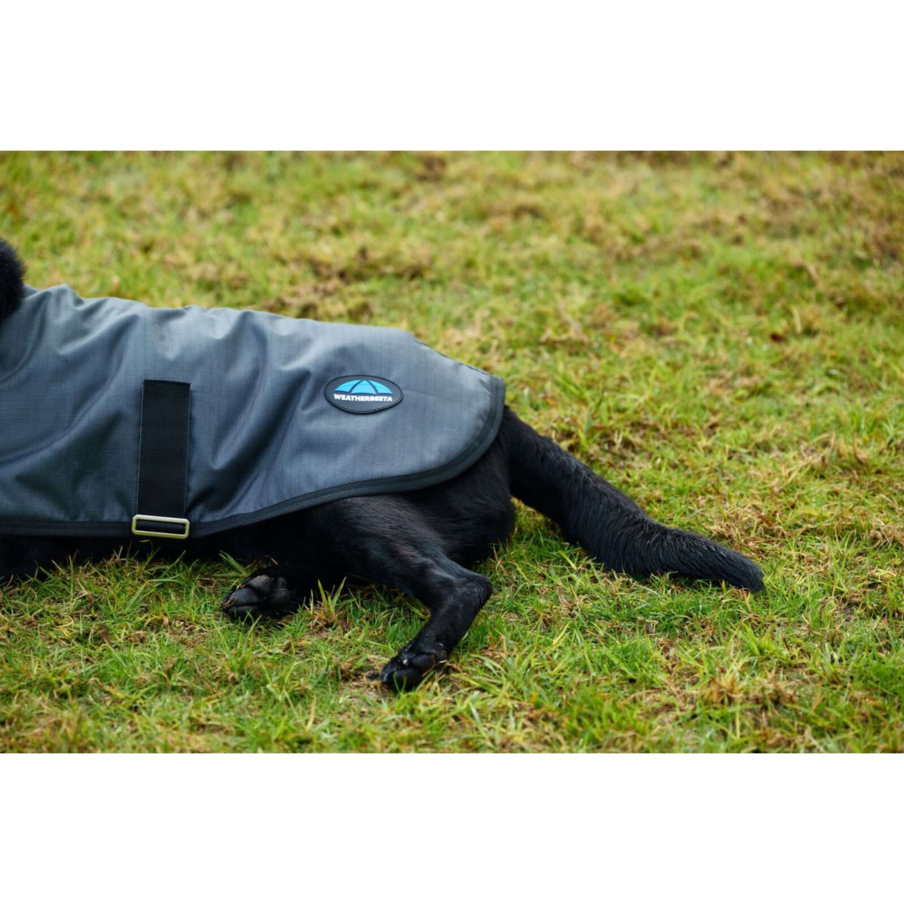 WeatherBeeta Hondendeken ComFiTec Classic Waterproof Charcoal