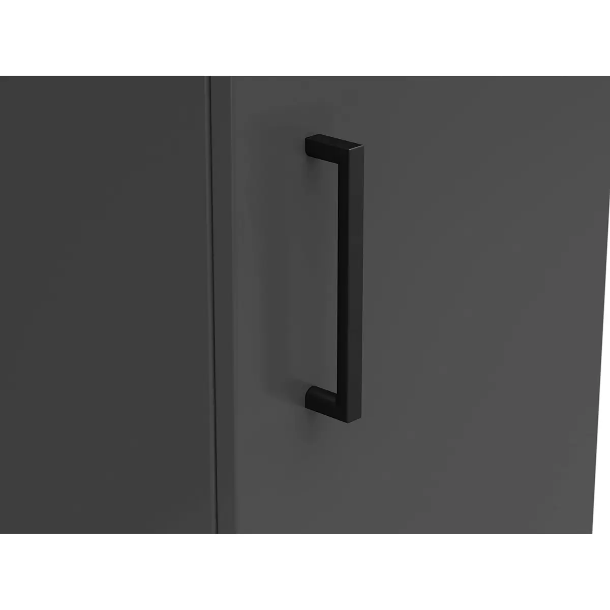 Regal 2T Cabinet Anthrazit