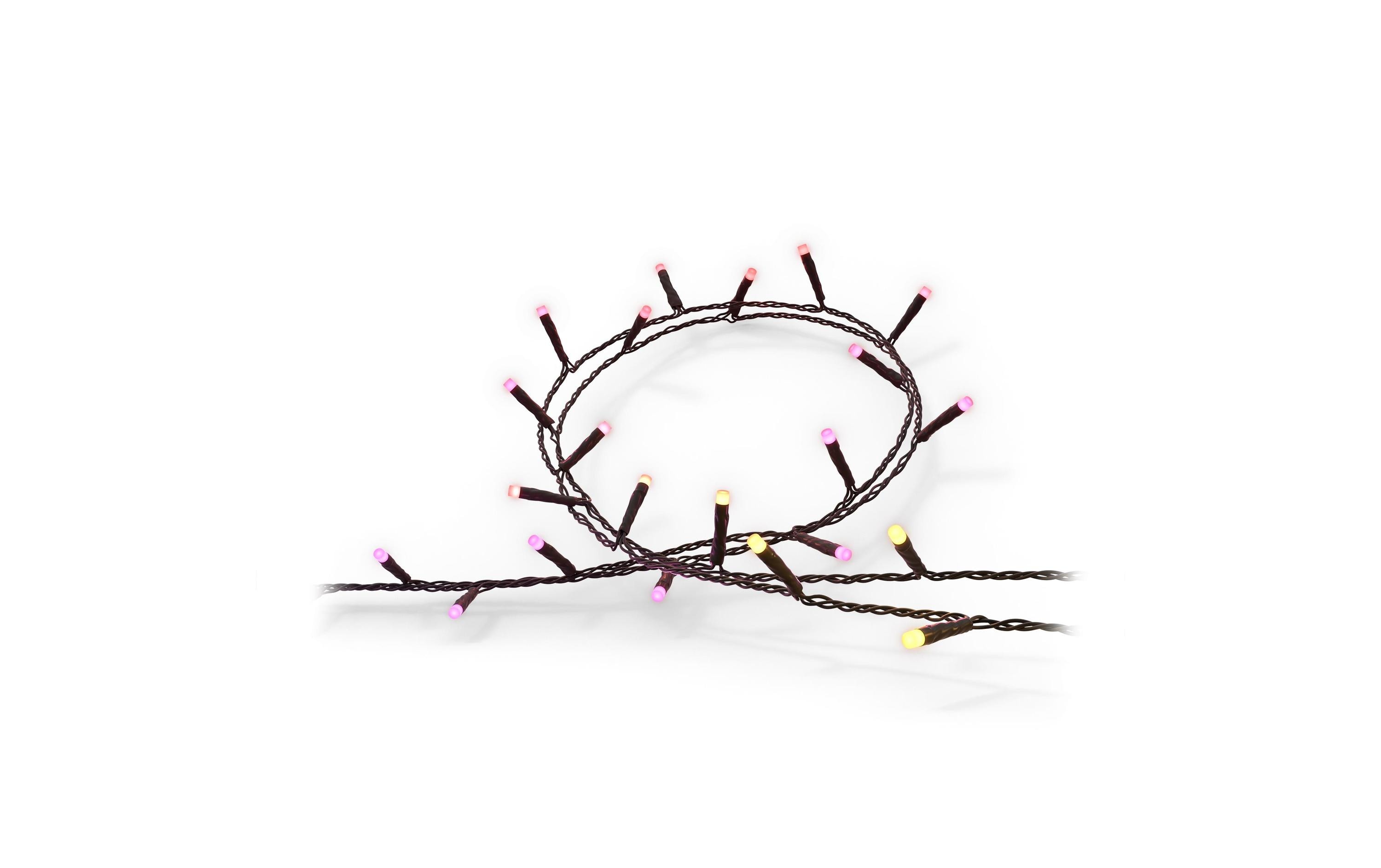 Festavia Lichterkette 40 m 500 LEDs CH<br>Smarte Weihnachtsbeleuchtung für den Innen- und Aussenbereich