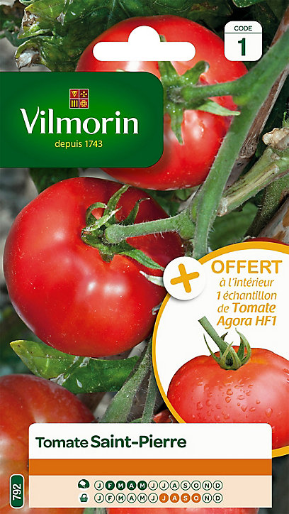 Graines de Tomate Saint Pierre Vilmorin