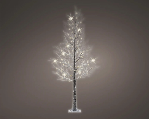 LED-boom Lumineo verlicht