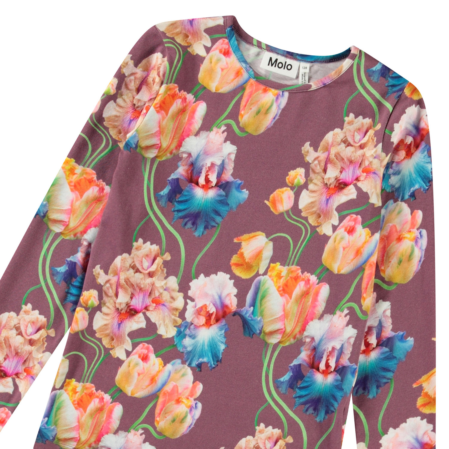 Rose - Rainbow Tulips