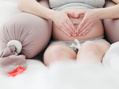 bbhugme Gravid- og Ammepute Trekk, Dusty Pink