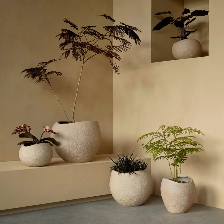 Audo - Plantas Pflanzentopf H 24 cm, elfenbein