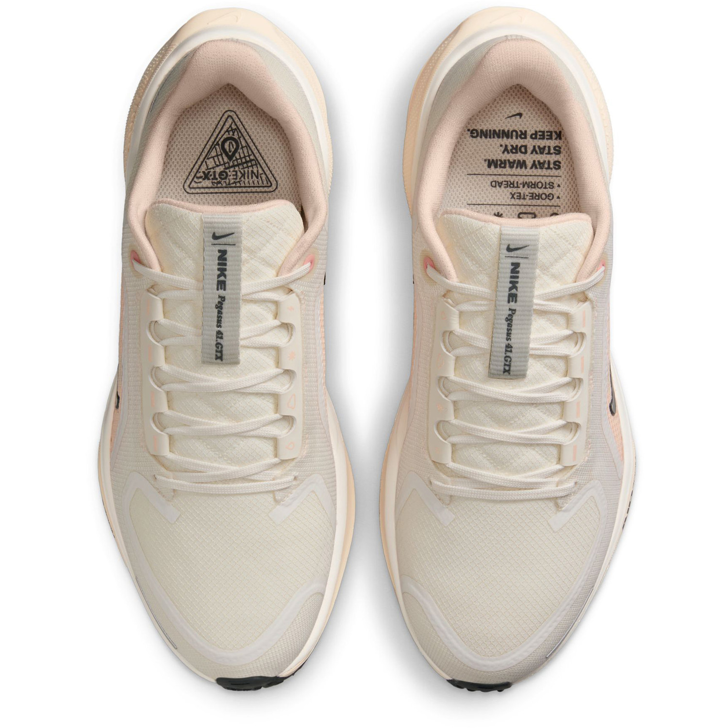 Nike Pegasus 41 GTX Dames