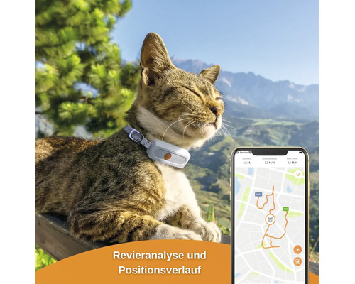 GPS tracker weenect voor katten, 28 g, 6 x 2,4 x 1,5 cm, wit