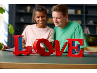 LEGO LOVE (31214)