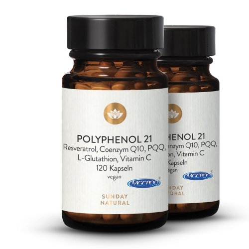 Sunday Natural Products  Polyphenol 21 Komplex
