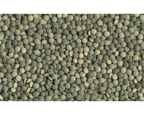 Tetra PlecoTablets hoofdvoer, 58 tabletten
