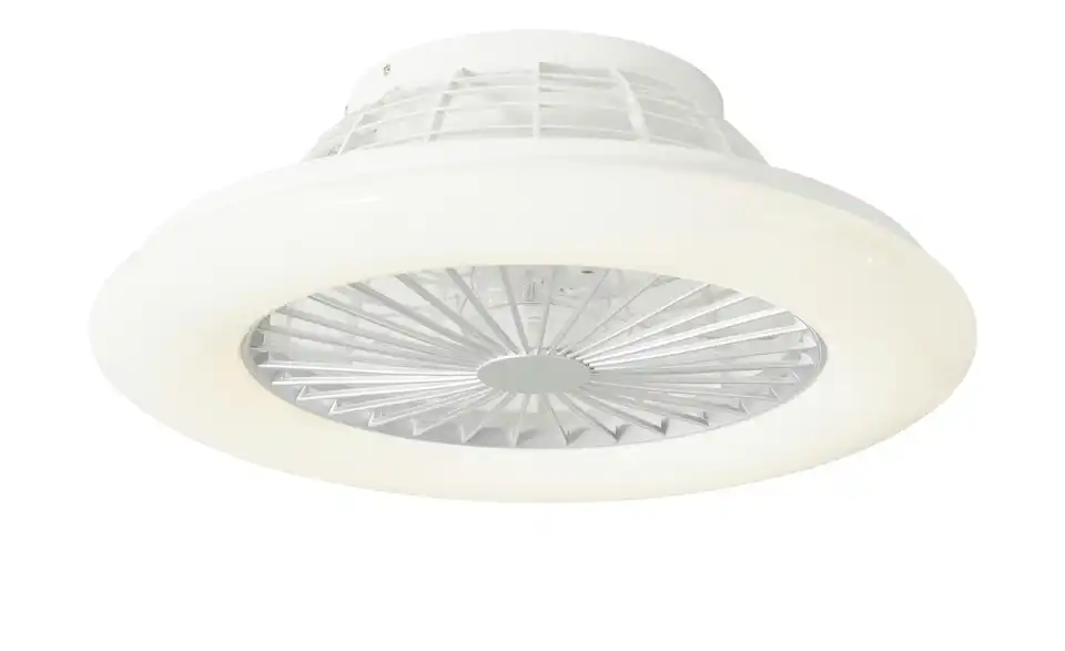 Deckenventilator / Deckenleuchte