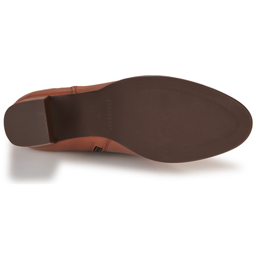 Fericelli - NORAYA Camel