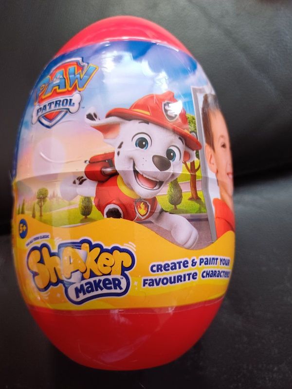 Paw Patrol - Shaker Maker - Knutselspullen - Diverse Karakters