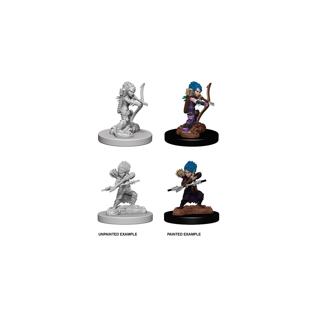 Pathfinder Deepcuts Unpainted Miniatures: Gnome Female Rogue