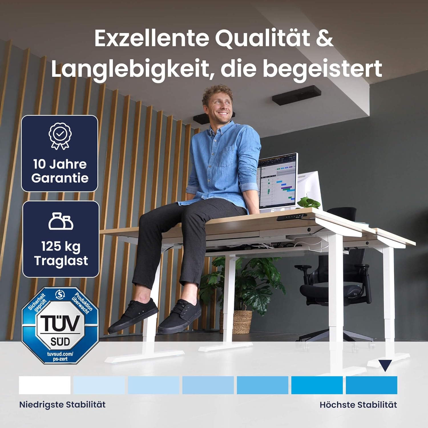 Ergotopia Desktopia Pro X Elektrisch höhenverstellbarer Schreibtisch, Ergonomischer Stehtisch für Büro oder Home Office (Buche, Gestell Schwarz, 160 x 80 cm)
